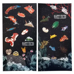 Naaktslakken Bandana -Duikuitrusting Winkel oceanarium naaktslakken bandana 2