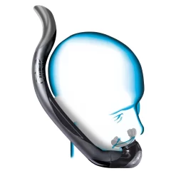 OMER Slalom Apneu Buis 9 OMER Slalom Apneu Buis -Duikuitrusting Winkel omer slalom apneu buis 3