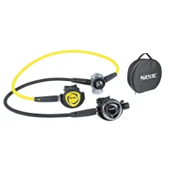 SEAC DX200 ICE 300 DIN Regelaarset