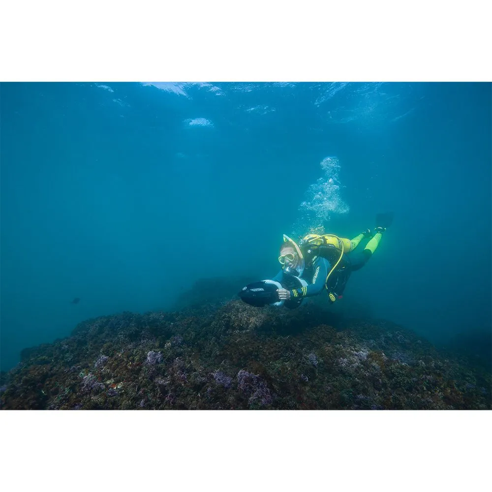 275L 13 275L - Afbeelding 11