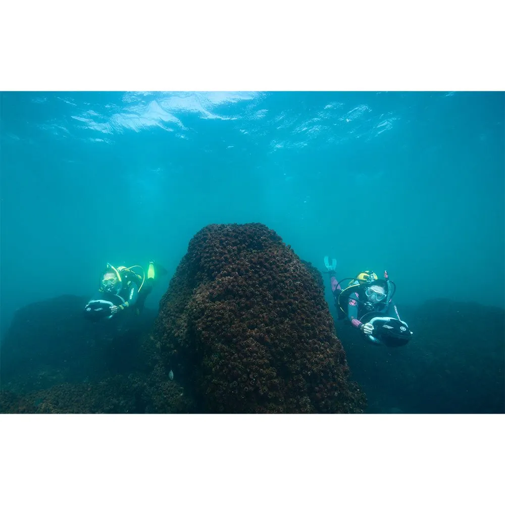 275L 14 275L - Afbeelding 12