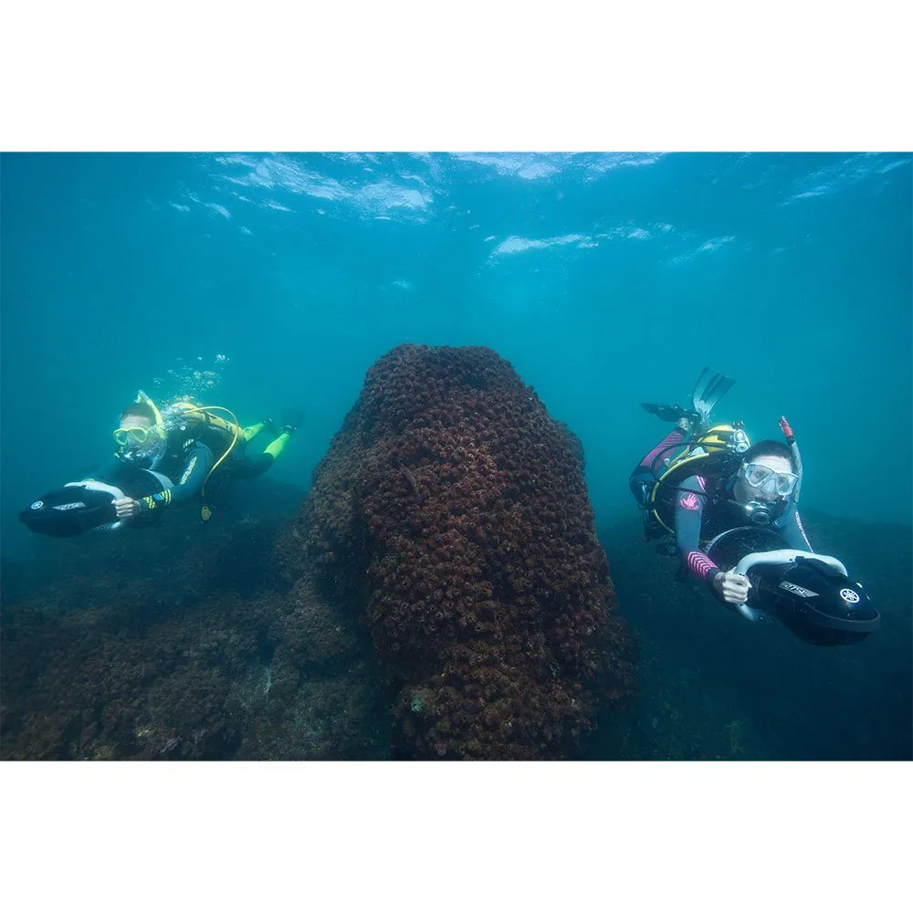 275L 15 275L - Afbeelding 13