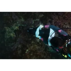 275L 39 275L -Duikuitrusting Winkel yamaha seascooter 275l 17