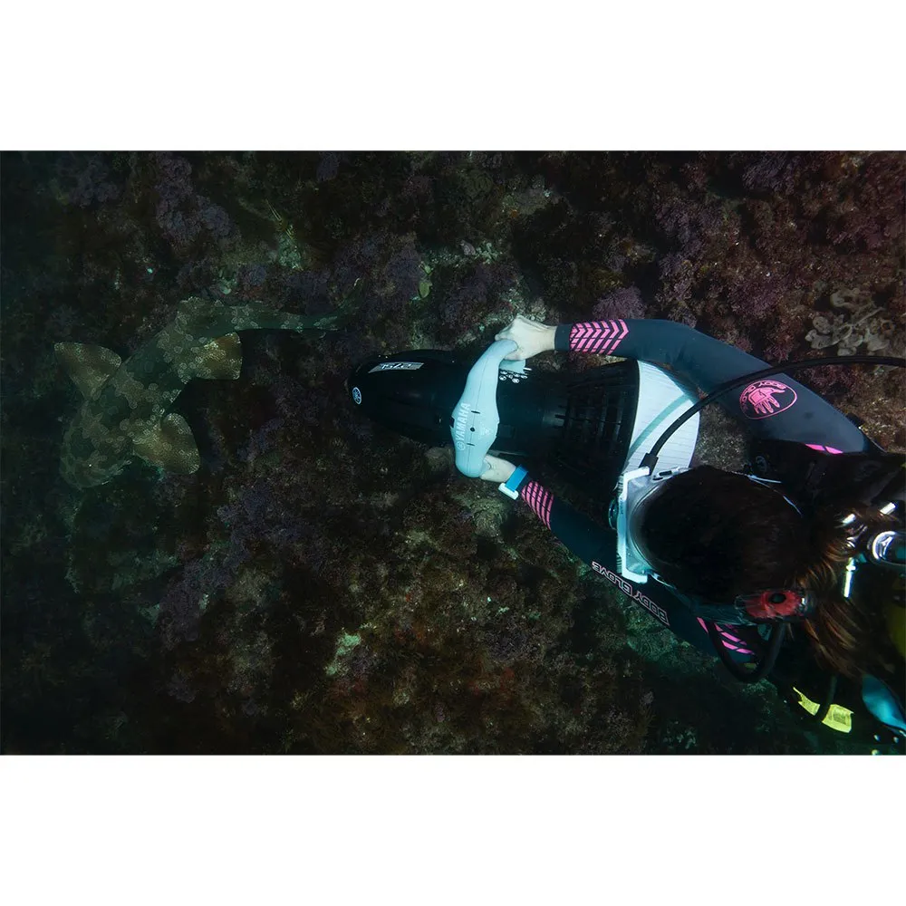 275L 20 275L - Afbeelding 18