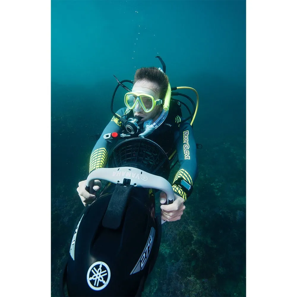 275L 21 275L - Afbeelding 19