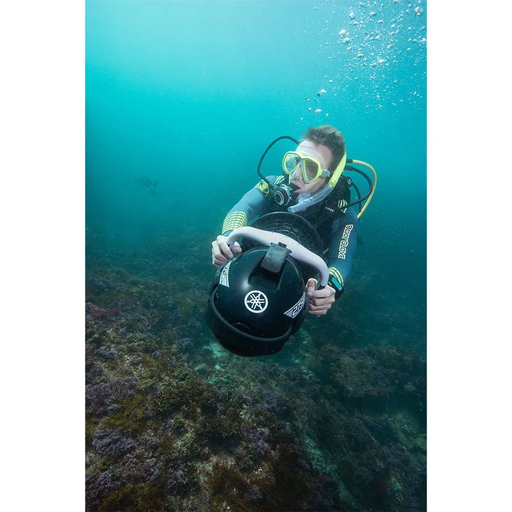 275L 22 275L - Afbeelding 20