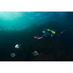 350LI -Duikuitrusting Winkel yamaha seascooter 350li 13