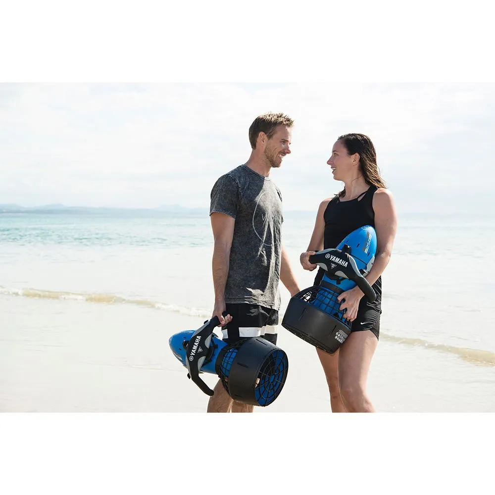 RDS250 13 RDS250 - Afbeelding 11