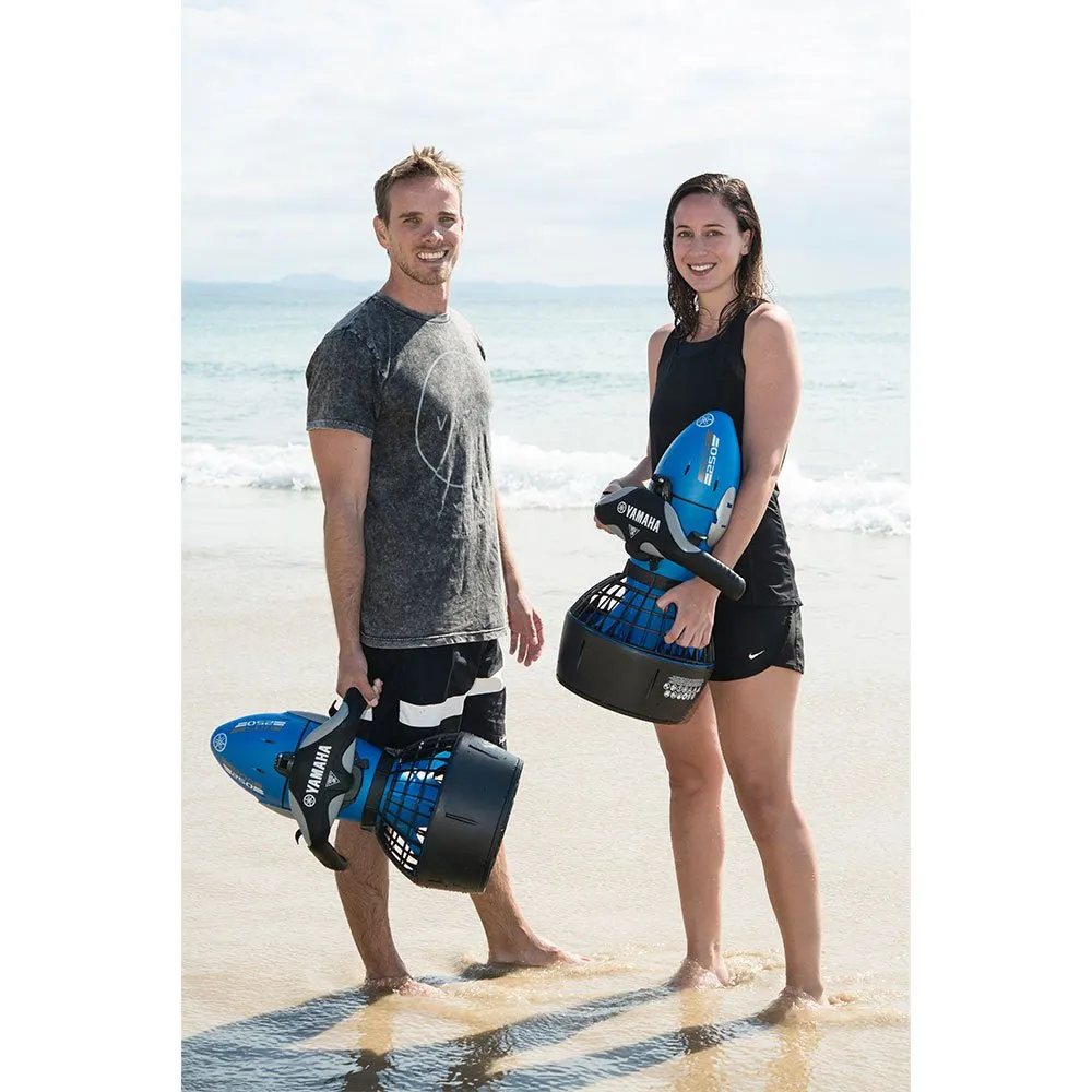 RDS250 14 RDS250 - Afbeelding 12