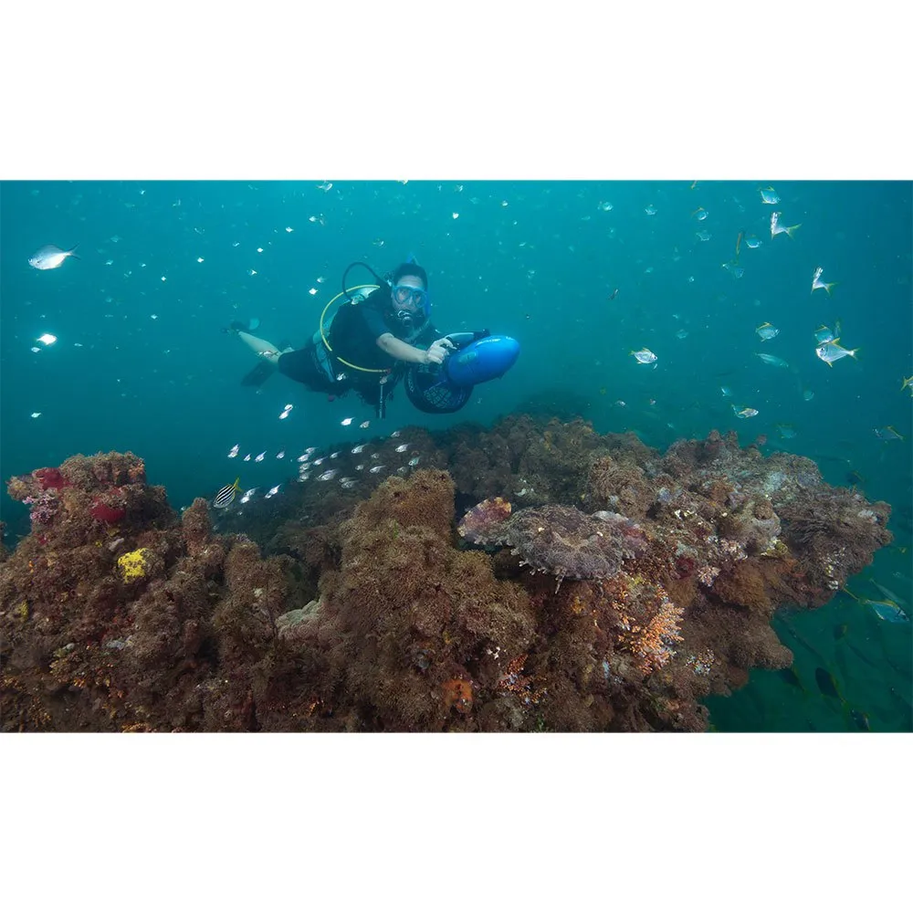 RDS250 10 RDS250 - Afbeelding 8