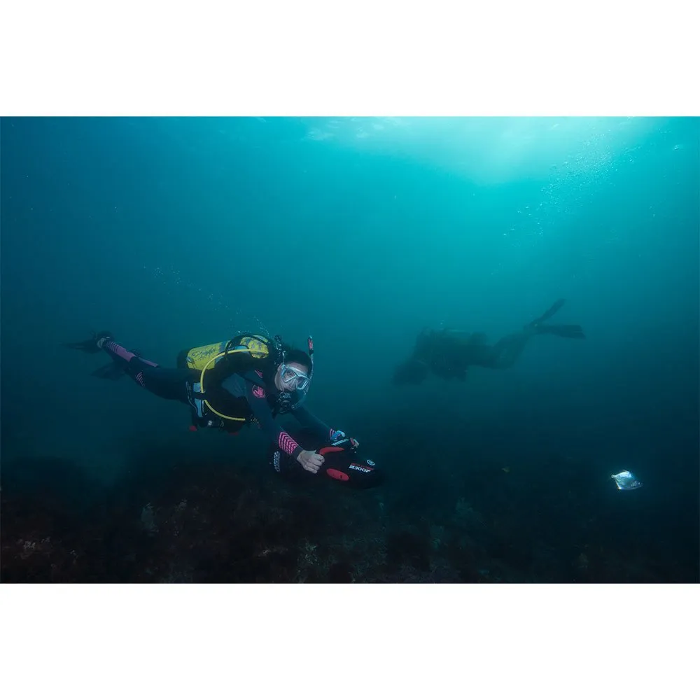 RDS300 11 RDS300 - Afbeelding 9